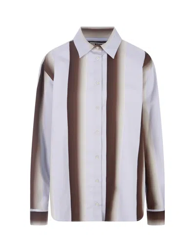 Msgm Striped Cotton Shirt In Blau