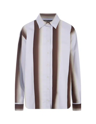 Msgm Light Blue Striped Cotton Shirt In Brown