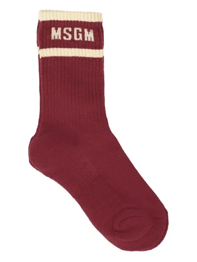Msgm Kids' Logo-band Socks In Burgundy