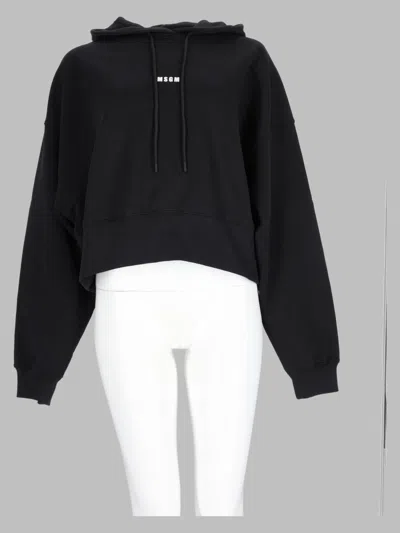Msgm Logo Cotton Sweatshirt In Multi