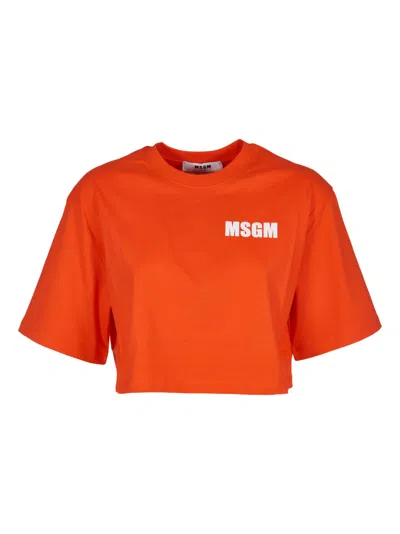 Msgm Logo Cropped T-shirt In Red