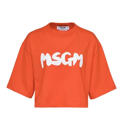 Msgm Logo Cropped Tee In Orange