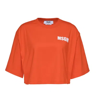 Msgm Logo Cropped Tee In Orange