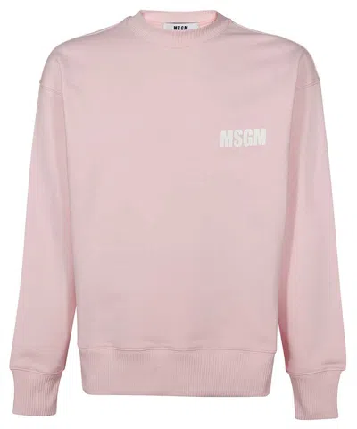 Msgm Logo Detail Cotton Sweatshirt In Pink