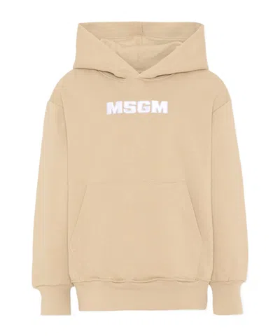 Msgm Logo Hooded Sweatshirt In Multi