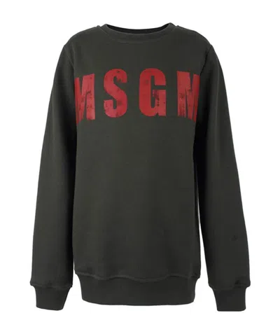 Msgm Logo Hoodie In Black