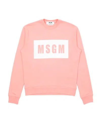 Msgm Logo Hoodie In Pink