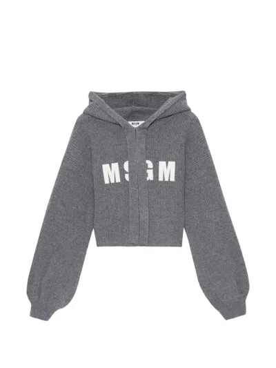 Msgm Logo-lettering Hoodie In Gray