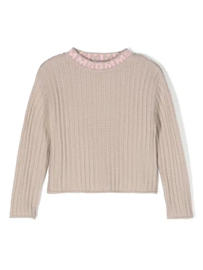 Msgm Kids' Logo-neckline Cotton Jumper In Brown