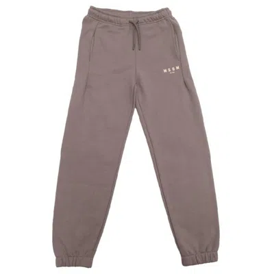 Msgm Logo Print Cotton Sweat Pants In Multi