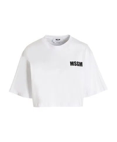 Msgm Logo-print Cropped T-shirt