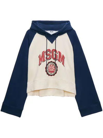 Msgm Hoodie Mit Logo-print In Multicolor