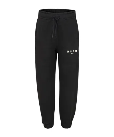 Msgm Logo-print Sweatpants In Black