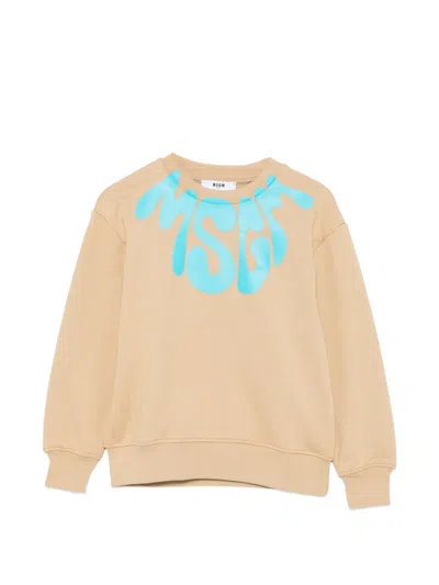 Msgm Logo-print Sweatshirt In Brown
