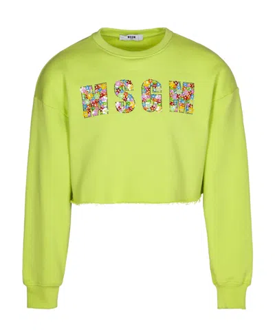 Msgm Logo Round-necked Sweater In Green