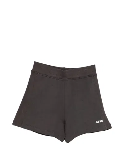 Msgm Logo Shorts In Brown