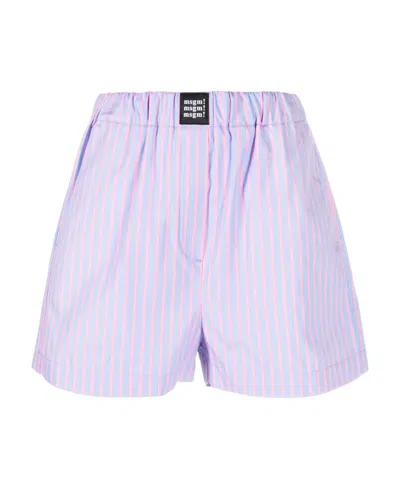 Msgm Logo Shorts In Blue