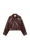 Msgm Logo-patch Cropped Jacket In Brown