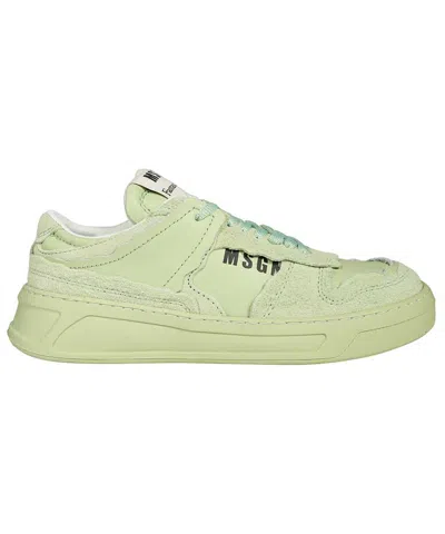 Msgm Low-top Sneakers In Green