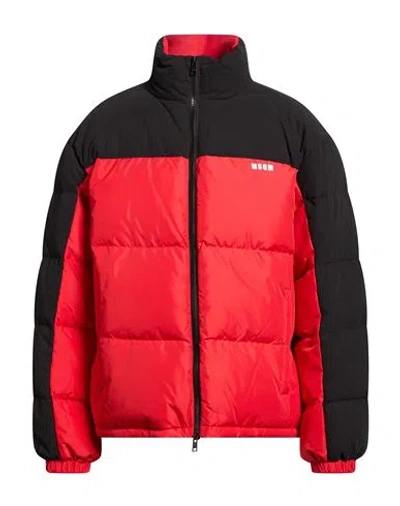 Msgm Man Puffer Black Size 40 Polyester, Cotton, Polyamide In Red