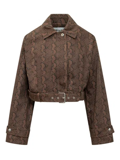 Msgm Mini Belted Short Jacket In Brown