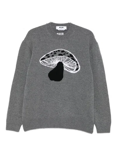 Msgm Mushroom-intarsia Wool Blend Pullover In Gray