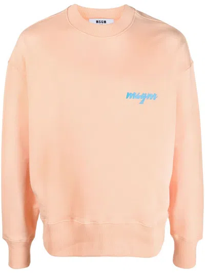 Msgm Palm Tree Logo-print Sweatshirt In Nude