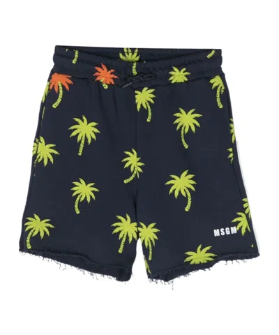 Msgm Palm Tree-print Cotton Shorts In Black