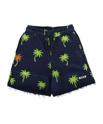 Msgm Palm Tree-print Cotton Shorts In Black