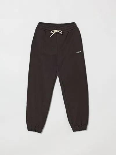 Msgm Pants  Kids Kids Color Grey In Gray