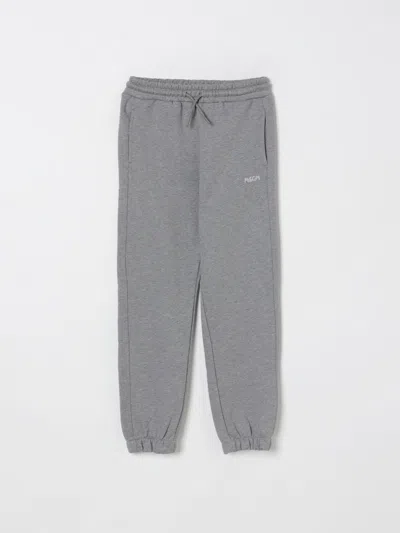 Msgm Pants  Kids Kids Color Grey In Gray
