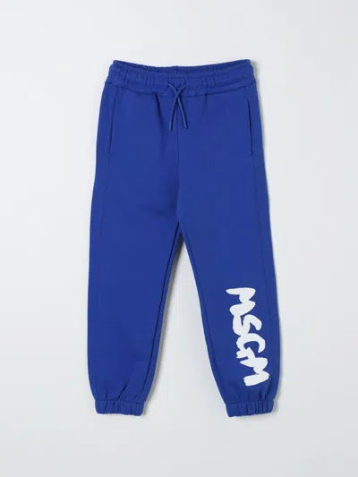 Msgm Pants  Kids Kids Color Royal Blue