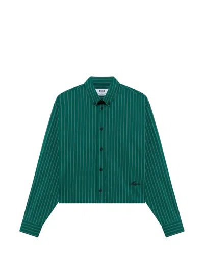 Msgm Cropped-hemd Mit Nadelstreifen In Green
