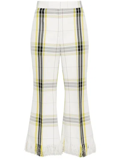 Msgm Plaid Cropped Flared Trousers In Weiss