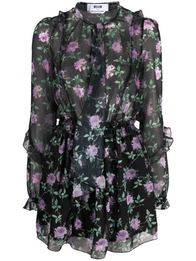 Msgm Poly Rose-print Chiffon Minidress In Black