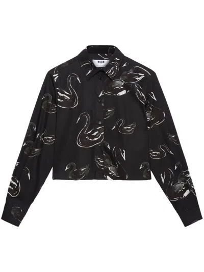 Msgm Printed Cropped Shirt In Black