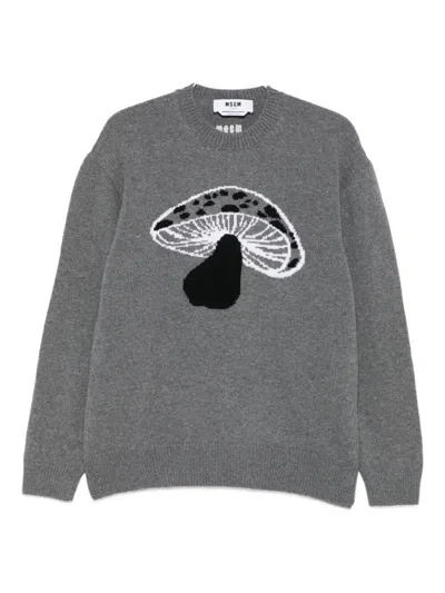 MSGM MUSHROOM-INTARSIA WOOL BLEND PULLOVER