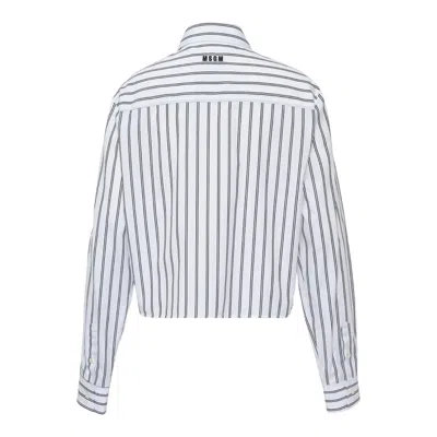 Msgm Rabbit Detail Stripe Blouse In Multi