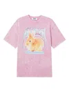 Msgm Rabbit-graphic T-shirt In Pink