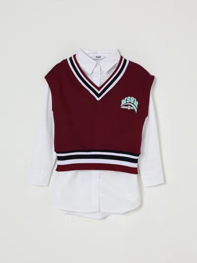 Msgm Shirt  Kids Kids Color Brown