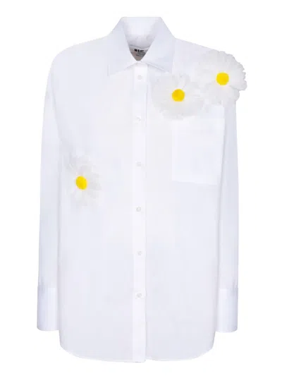 Msgm Shirt With Daisies In White