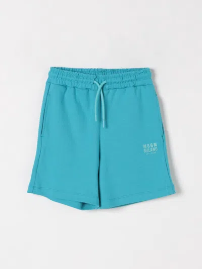 Msgm Short  Kids Kids Color Gnawed Blue