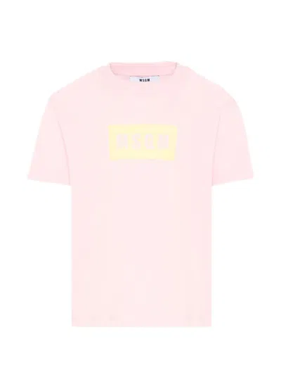 Msgm Kids' Short-sleeve T-shirt In Pattern