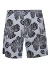 Msgm Striped Hibiscus Printed Shorts In Blue