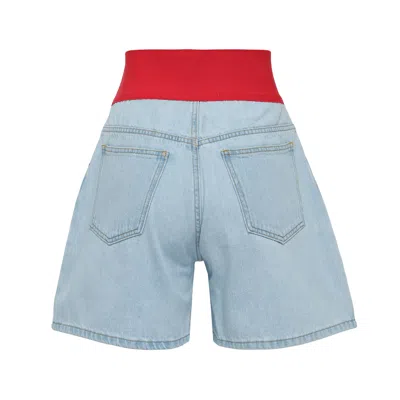 Msgm Shorts In Blue