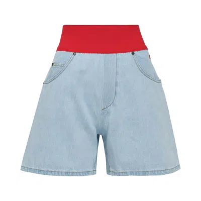 Msgm Shorts In Blue
