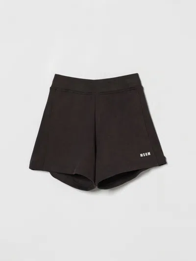 Msgm Shorts  Kids Kids Color Grey In Brown