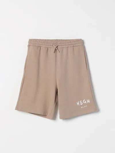 Msgm Shorts  Kids Kinder Farbe Beige In Beige
