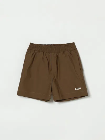 Msgm Shorts Kids  Kids In Brown
