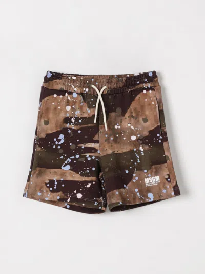 Msgm Shorts  Kids Kids Color Black
